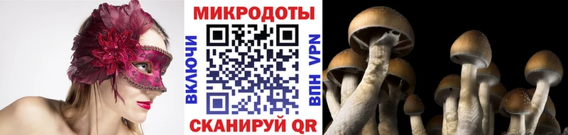 Галлюциногенные грибы GOLDEN TEACHER  Купить закладки  Великий Устюг 
